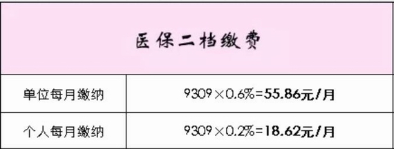 醫(yī)療保險(xiǎn)二檔繳費(fèi)